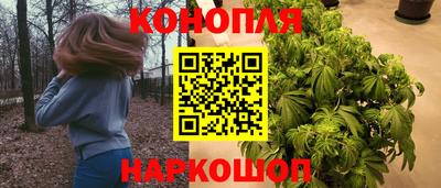 твердый Камышлов
