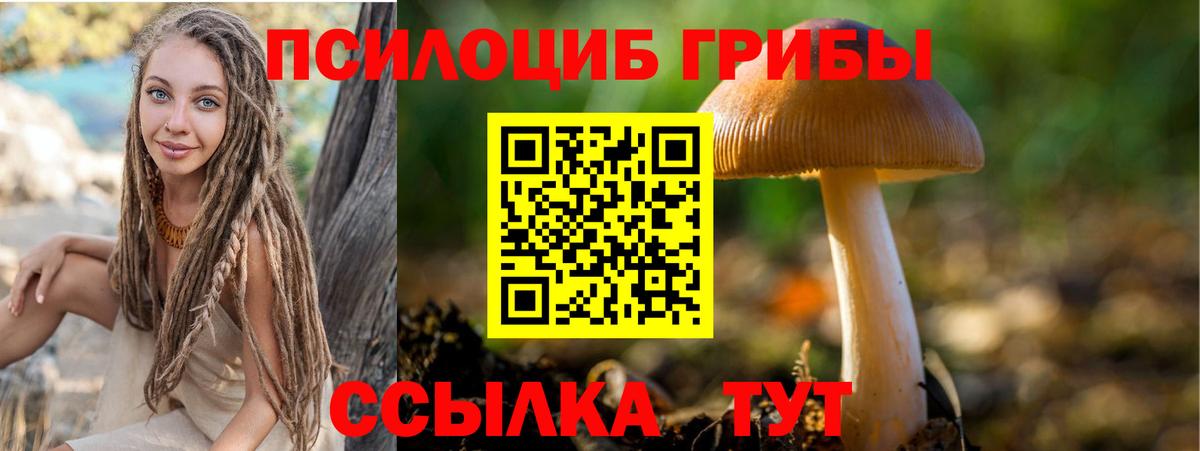 Ипатово  Псилоцибиновые грибы Magic Shrooms  Вход с VPN 
